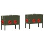 Comedero para pollos 2 pcs Verde Oliva 41,5 x 20,5 x 33 cm