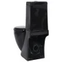 Inodoro de cerámica con cisterna negro de vidaXL, Baños - Ref: Foro24-140298, Precio: 265,70 €, Descuento: %