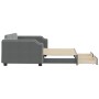 Sofá cama nido con cajones tela gris oscuro 100x200 cm de vidaXL, Camas y somieres - Ref: Foro24-3197676, Precio: 305,03 €, D...
