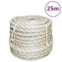 Cuerda 100% sisal 14 mm 25 m de vidaXL, Sogas y cuerdas metálicas - Ref: Foro24-155031, Precio: 36,94 €, Descuento: %