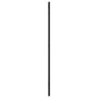 Espejo de pared rectangular de hierro negro 40x80 cm by vidaXL, Mirrors - Ref: Foro24-358644, Price: 58,93 €, Discount: %