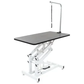Adjustable Hydraulic Hygiene Table for Pets Dogs Cats by vidaXL, Pet hygiene products - Ref: Foro24-170172, Price: 424,36 €, ...