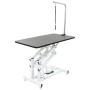 Adjustable Hydraulic Hygiene Table for Pets Dogs Cats by vidaXL, Pet hygiene products - Ref: Foro24-170172, Price: 387,79 €, ...