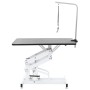 Adjustable Hydraulic Hygiene Table for Pets Dogs Cats by vidaXL, Pet hygiene products - Ref: Foro24-170172, Price: 387,79 €, ...