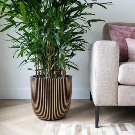 Capi Groove black and gold pot 43x41 cm by Capi, Pots and planters - Ref: Foro24-445487, Price: 100,26 €, Discount: %