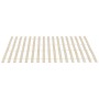 Somieres de láminas con 34 lamas 2 unidades 100x200 cm de vidaXL, Camas y somieres - Ref: Foro24-3203722, Precio: 68,07 €, De...