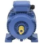 Motor eléctrico trifásico aluminio 1,5kW/2HP 2 polos 2840 RPM de vidaXL, Motores eléctricos - Ref: Foro24-148003, Precio: 148...