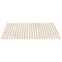 Somieres de láminas con 48 lamas 2 unidades 100x200 cm de vidaXL, Camas y somieres - Ref: Foro24-3203726, Precio: 93,36 €, De...