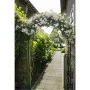 Nature Gartenbogen aus Metall, 229 x 38 x 113 cm von Nature, Pergolen, Bögen und Gartenspaliere - Ref: Foro24-403654, Preis: ...