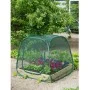 Pop-up-Gewächshaus, 100 x 100 x 100 cm, Nature 6020409 von Nature, Gewächshäuser - Ref: Foro24-403674, Preis: 35,10 €, Rabatt: %