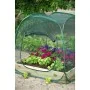 Pop-up-Gewächshaus, 100 x 100 x 100 cm, Nature 6020409 von Nature, Gewächshäuser - Ref: Foro24-403674, Preis: 35,10 €, Rabatt: %