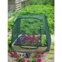 Pop-up-Gewächshaus, 100 x 100 x 100 cm, Nature 6020409 von Nature, Gewächshäuser - Ref: Foro24-403674, Preis: 35,10 €, Rabatt: %