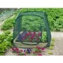 Pop-up-Gewächshaus, 100 x 100 x 100 cm, Nature 6020409 von Nature, Gewächshäuser - Ref: Foro24-403674, Preis: 35,10 €, Rabatt: %