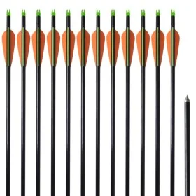 Bogenpfeile 12 Stück Composite Standard Fiberglas von vidaXL, Pfeile und Darts - Ref: Foro24-90855, Preis: 39,16 €, Rabatt: %