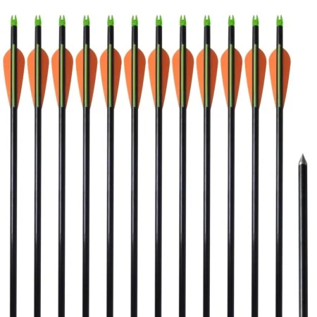 Flechas de arco 12 uds compuesto estándar de fibra de vidrio de vidaXL, Flechas y dardos - Ref: Foro24-90855, Precio: 39,16 €...