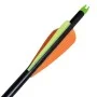 Bogenpfeile 12 Stück Composite Standard Fiberglas von vidaXL, Pfeile und Darts - Ref: Foro24-90855, Preis: 39,16 €, Rabatt: %