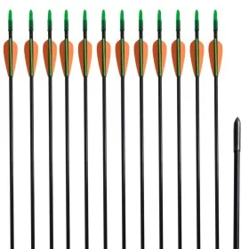 Standard compound bow arrows 30" 0.6 cm fiberglass 12 pcs by vidaXL, Arrows and darts - Ref: Foro24-90856, Price: 32,90 €, Di...