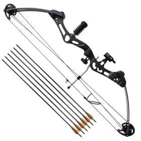Compound bow for adults with accessories and fiberglass arrows by vidaXL, compound bows - Ref: Foro24-90852, Price: 290,86 €,...