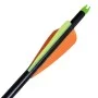 Kompositbogen für Erwachsene mit Fiberglaszubehör und Pfeilen von vidaXL, Compoundbögen - Ref: Foro24-90852, Preis: 290,86 €,...