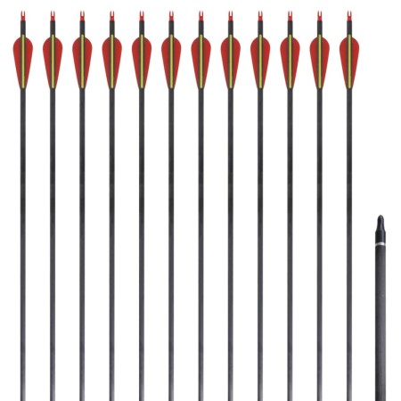 Carbonpfeile für Standard-Recurvebogen, 30" 0,76 cm, 12 Stk von vidaXL, Pfeile und Darts - Ref: Foro24-90857, Preis: 76,76 €,...