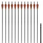 Carbonpfeile für Standard-Recurvebogen, 30" 0,76 cm, 12 Stk von vidaXL, Pfeile und Darts - Ref: Foro24-90857, Preis: 67,92 €,...