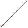 Carbonpfeile für Standard-Recurvebogen, 30" 0,76 cm, 12 Stk von vidaXL, Pfeile und Darts - Ref: Foro24-90857, Preis: 67,92 €,...