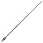 Carbonpfeile für Standard-Recurvebogen, 30" 0,76 cm, 12 Stk von vidaXL, Pfeile und Darts - Ref: Foro24-90857, Preis: 76,76 €,...