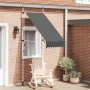 Toldo retráctil de operación manual gris antracita 100 cm