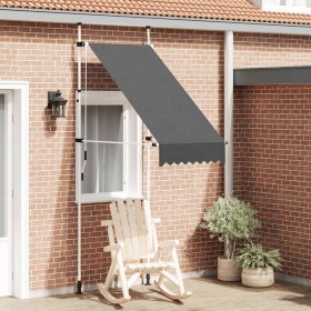 Toldo retráctil de operación manual gris antracita 100 cm