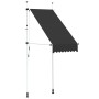 Toldo retráctil de operación manual gris antracita 100 cm