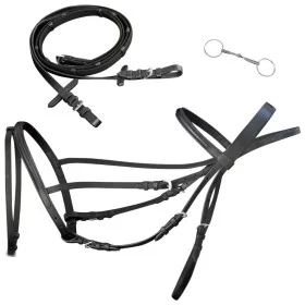 Schwarzes Leder-Flash-Zaumzeug mit Zügeln und Gebiss (Pony) von vidaXL, Einnicken - Ref: Foro24-90895, Preis: 40,79 €, Rabatt: %
