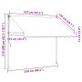 Toldo manual retráctil con LED gris antracita 250 cm