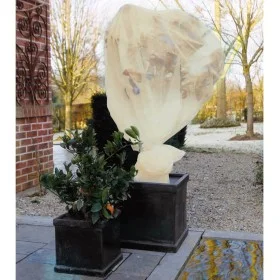 Nature Anti-frost polar plant cover beige 60 g/m² 2x5 m by Nature, Gardening accessories - Ref: Foro24-407092, Price: 19,23 €...