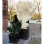 Nature Funda cubre plantas polar anti-heladas beige 60 g/m² 2x5 m de Nature, Accesorios de jardinería - Ref: Foro24-407092, P...