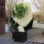 Nature Anti-frost polar plant cover beige 60 g/m² 2x5 m by Nature, Gardening accessories - Ref: Foro24-407092, Price: 19,23 €...