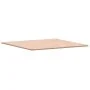 Tablero de mesa cuadrado de madera maciza de haya 90x90x1,5 cm de , Tableros para mesas - Ref: Foro24-355953, Precio: 81,55 €...