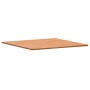 Quadratische Tischplatte aus massivem Buchenholz, 80 x 80 x 1,5 cm von , Tischplatten - Ref: Foro24-355970, Preis: 74,74 €, R...