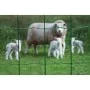 Nature Rectangular wire mesh 0.8x10m coated green plastic by Nature, fence panels - Ref: Foro24-409381, Price: 57,21 €, Disco...