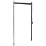 Estor enrollable de exterior gris antracita 100x270 cm