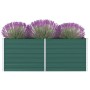 Jardinera elevada de acero galvanizado verde 160x80x45 cm de , Maceteros y jardineras - Ref: Foro24-47014, Precio: 57,14 €, D...
