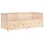 Schlafsofa aus massivem Kiefernholz, 100 x 200 cm von , Betten und Lattenroste - Ref: Foro24-820896, Preis: 290,56 €, Rabatt: %
