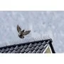 Nature Anti Bird Spikes 3 pcs. 32x11x18cm 6060160 by Nature, Animal repellents - Ref: Foro24-409384, Price: 23,81 €, Discount: %