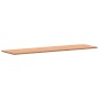 Schreibtischplatte aus massivem Buchenholz, 200 x 55 x 2,5 cm von , Tischplatten - Ref: Foro24-356097, Preis: 177,37 €, Rabat...