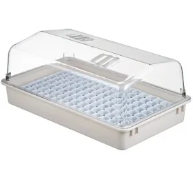 Nature Propagator Set 55x31x22 cm 6020203 by Nature, Kits for planting flowers and plants - Ref: Foro24-409319, Price: 72,03 ...