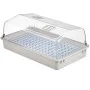 Nature Set de propagador 55x31x22 cm 6020203 de Nature, Kits para plantar flores y plantas - Ref: Foro24-409319, Precio: 71,9...
