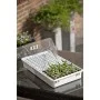 Nature Set de propagador 55x31x22 cm 6020203 de Nature, Kits para plantar flores y plantas - Ref: Foro24-409319, Precio: 71,9...