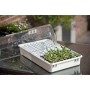 Nature Set de propagador 55x31x22 cm 6020203 de Nature, Kits para plantar flores y plantas - Ref: Foro24-409319, Precio: 69,0...