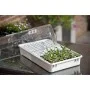 Nature Set de propagador 55x31x22 cm 6020203 de Nature, Kits para plantar flores y plantas - Ref: Foro24-409319, Precio: 71,9...