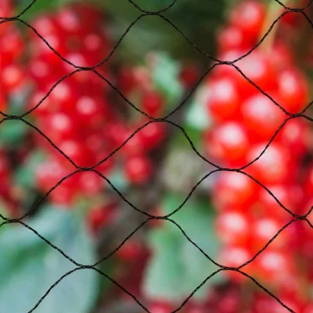 Nature Black Bird Protective Netting Primo 10x10 m 6030407 by Nature, Gardening accessories - Ref: Foro24-409383, Price: 44,3...