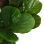 Artificial fig tree with 180 green violin-shaped leaves, 150 cm. by , artificial flora - Ref: Foro24-359013, Price: 95,08 €, ...